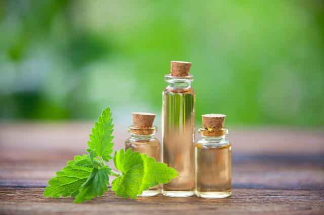 艾草精油的使用方法知多少 尽早掌握让你避免尴尬