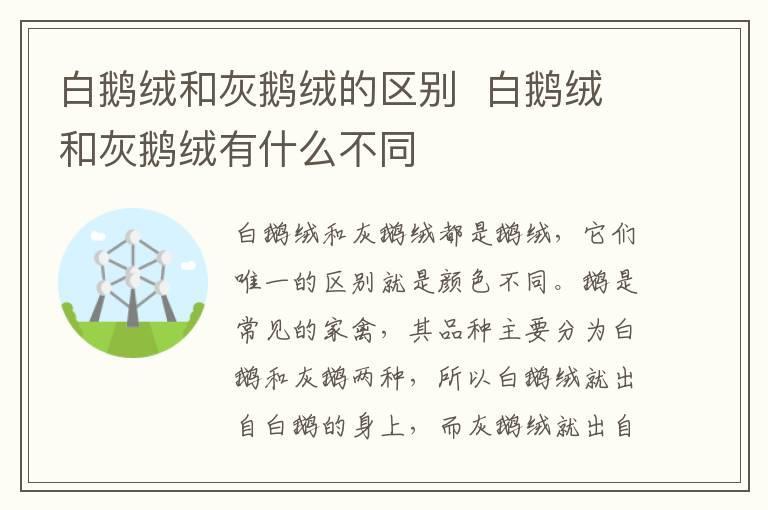 白鹅绒和灰鹅绒的区别 白鹅绒和灰鹅绒有什么不同