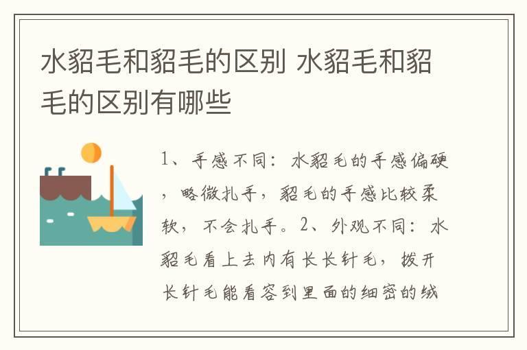 水貂毛和貂毛的区别 水貂毛和貂毛的区别有哪些