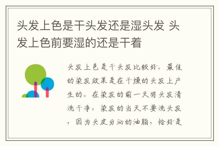 头发上色是干头发还是湿头发 头发上色前要湿的还是干着