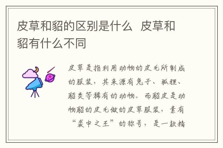 皮草和貂的区别是什么 皮草和貂有什么不同