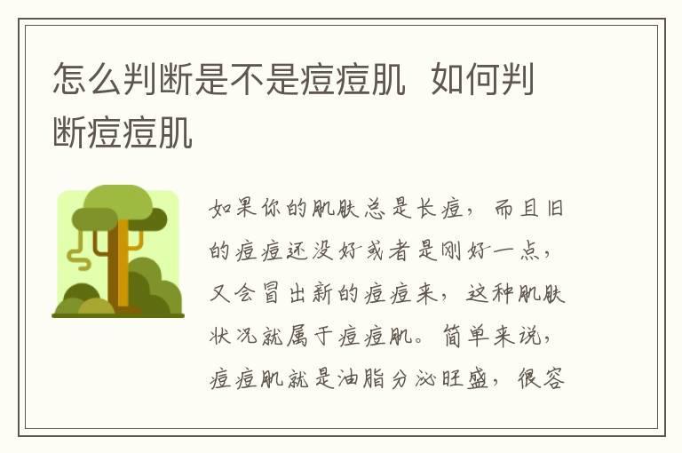 怎么判断是不是痘痘肌 如何判断痘痘肌
