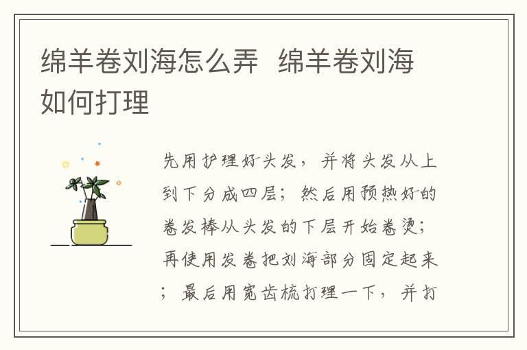 绵羊卷刘海怎么弄 绵羊卷刘海如何打理