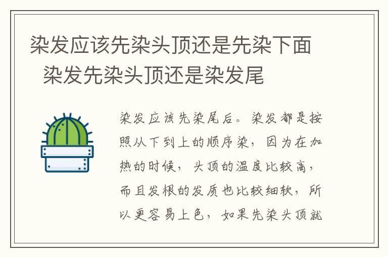 染发应该先染头顶还是先染下面 染发先染头顶还是染发尾