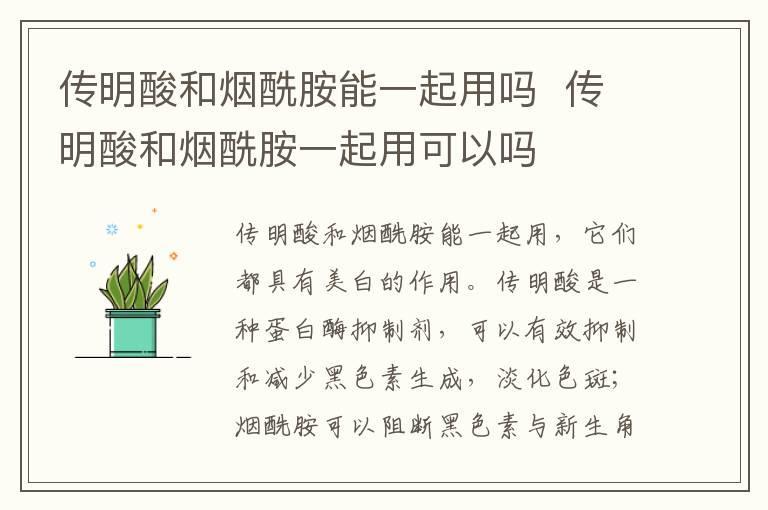 传明酸和烟酰胺能一起用吗 传明酸和烟酰胺一起用可以吗
