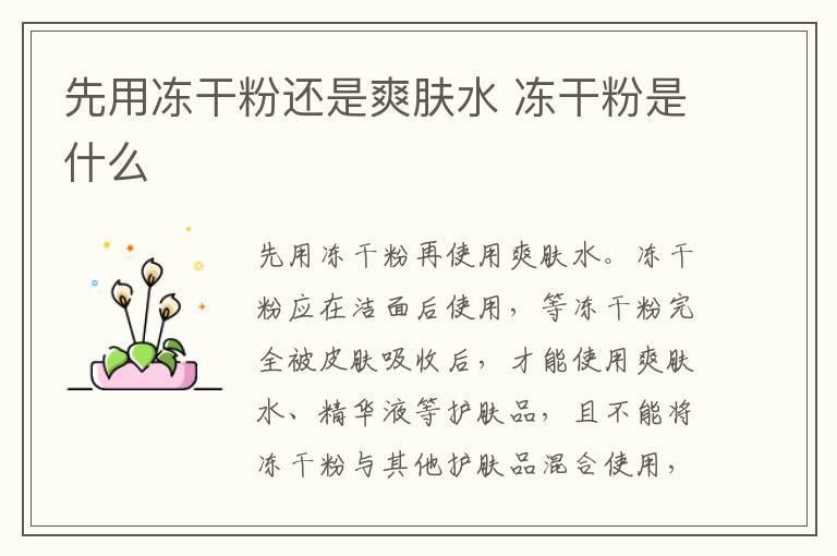 先用冻干粉还是爽肤水 冻干粉是什么