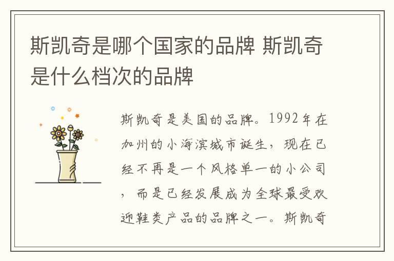 斯凯奇是哪个国家的品牌 斯凯奇是什么档次的品牌