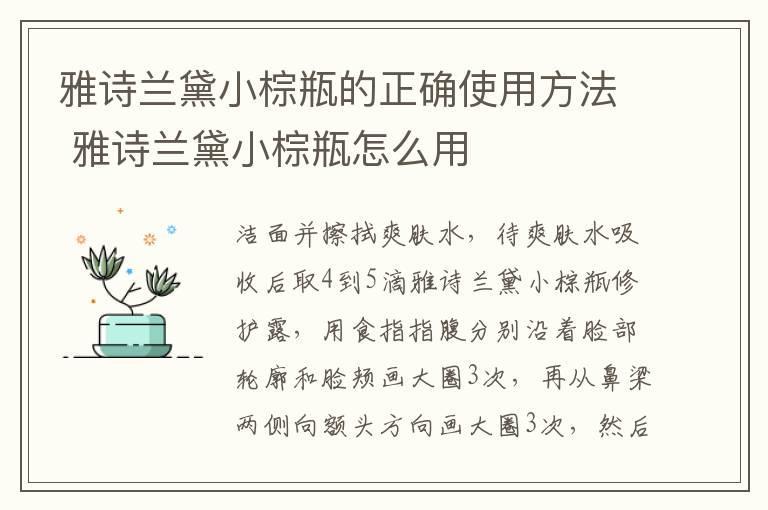 雅诗兰黛小棕瓶的正确使用方法 雅诗兰黛小棕瓶怎么用