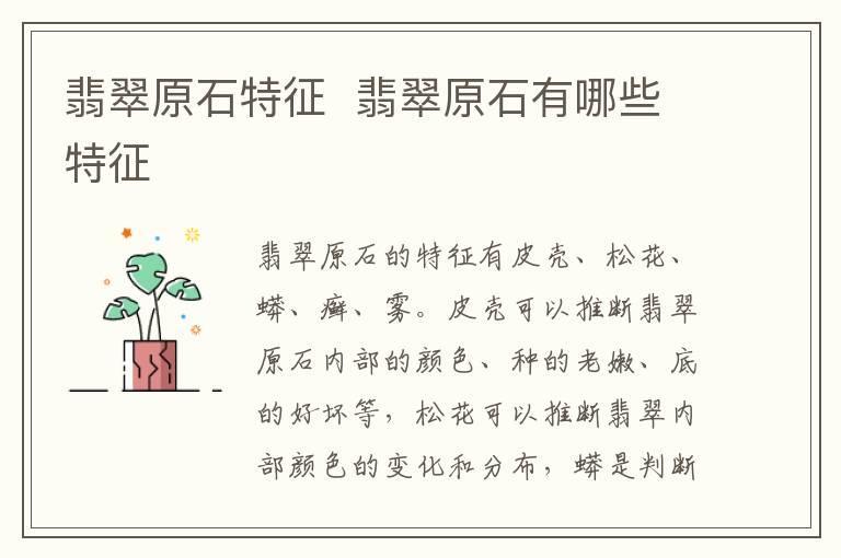 翡翠原石特征 翡翠原石有哪些特征