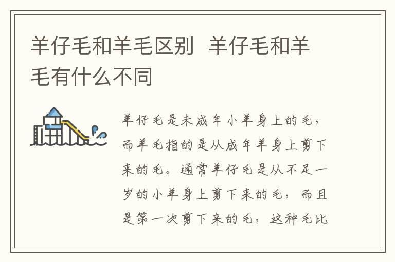 羊仔毛和羊毛区别 羊仔毛和羊毛有什么不同
