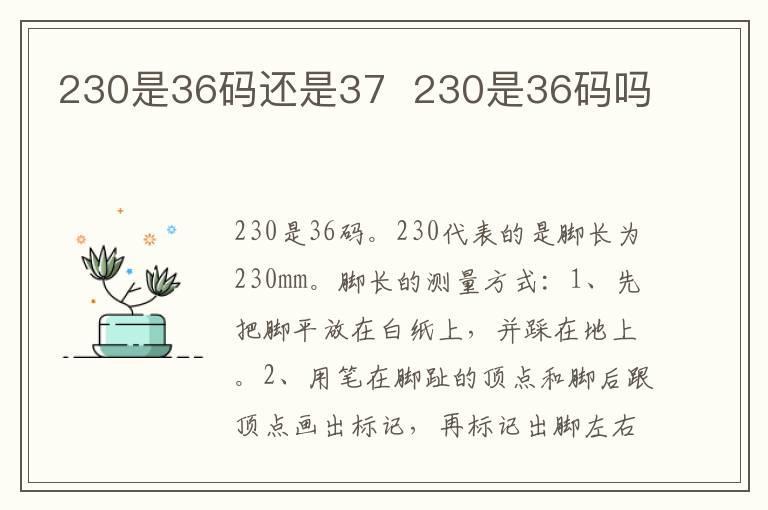 男裤31码是二尺几 男裤31码表示的是二尺几