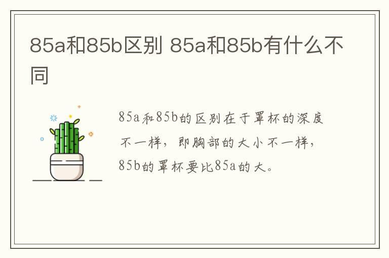 85a和85b区别 85a和85b有什么不同