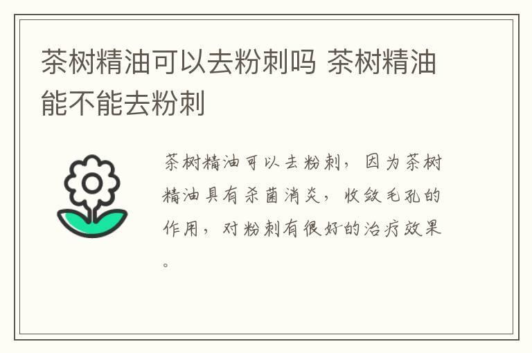 茶树精油可以去粉刺吗 茶树精油能不能去粉刺