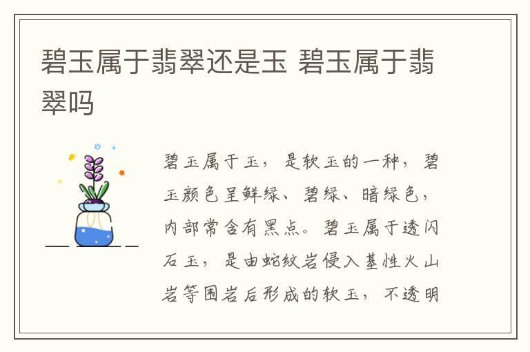 碧玉属于翡翠还是玉 碧玉属于翡翠吗