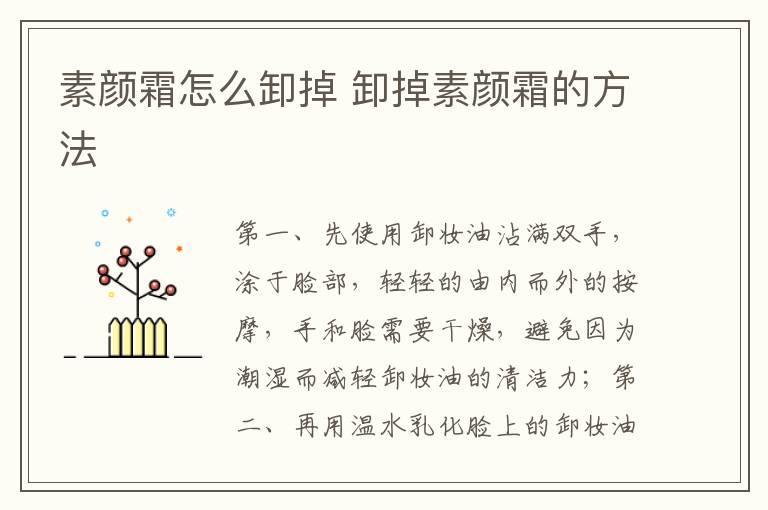 素颜霜怎么卸掉 卸掉素颜霜的方法