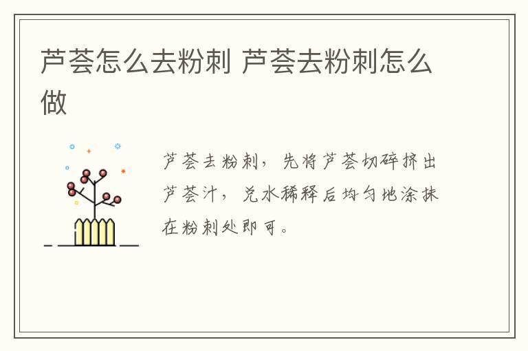 芦荟怎么去粉刺 芦荟去粉刺怎么做