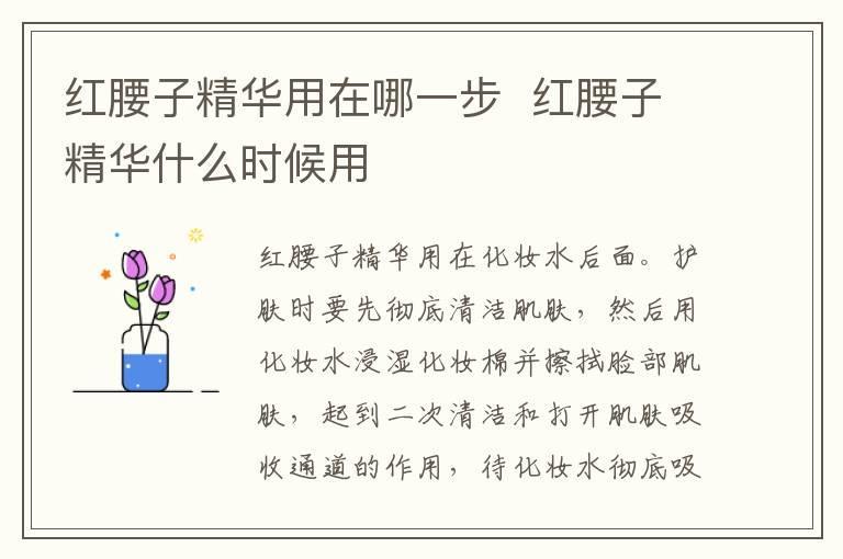 红腰子精华用在哪一步 红腰子精华什么时候用