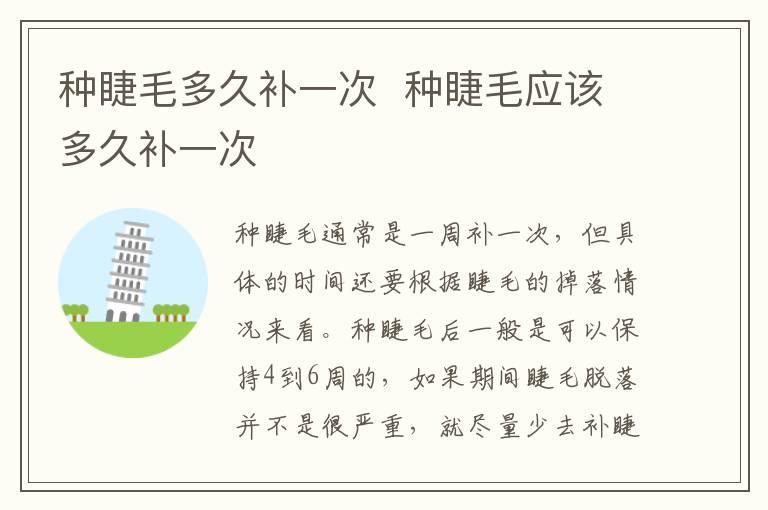 种睫毛多久补一次  种睫毛应该多久补一次