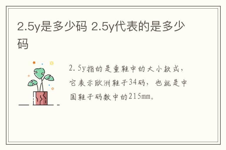 2.5y是多少码 2.5y代表的是多少码