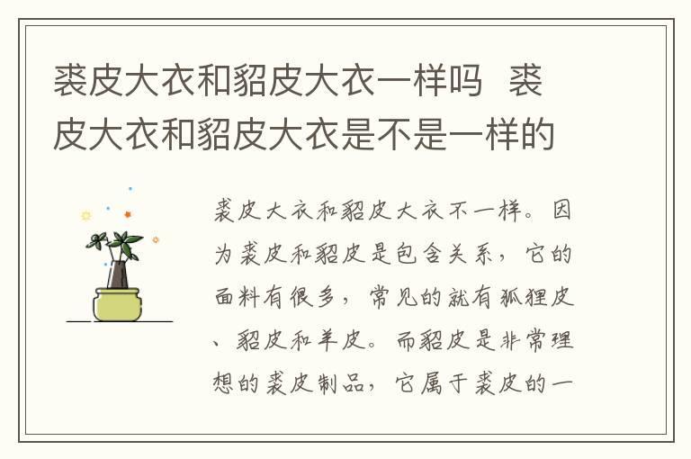 裘皮大衣和貂皮大衣一样吗  裘皮大衣和貂皮大衣是不是一样的