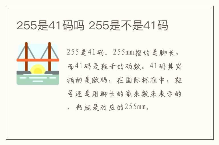 255是41码吗 255是不是41码