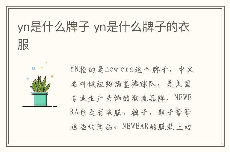 yn是什么牌子 yn是什么牌子的衣服