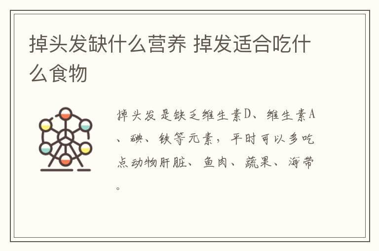 掉头发应该如何补充营养 掉头发补充营养的方法