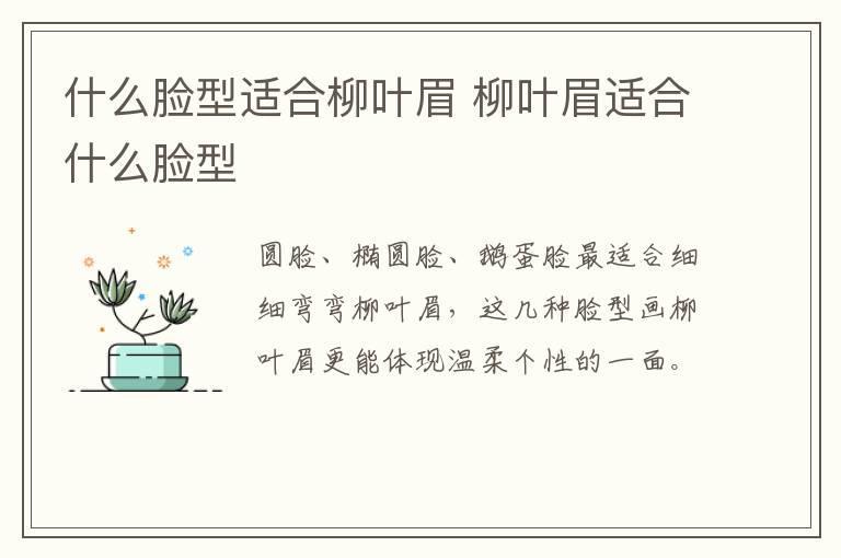 什么脸型适合柳叶眉 柳叶眉适合什么脸型