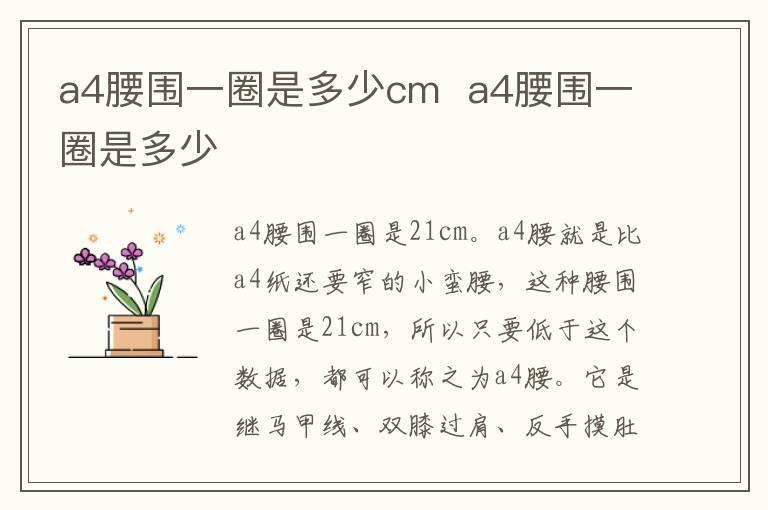 a4腰围一圈是多少cm a4腰围一圈是多少