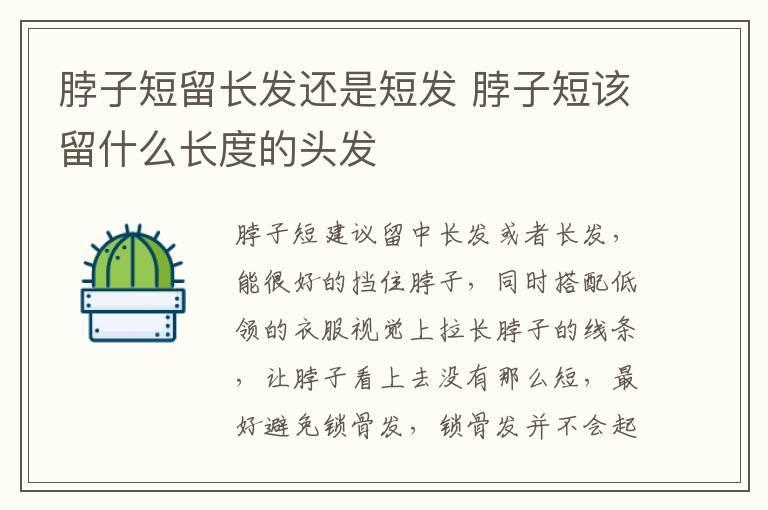 脖子短留长发还是短发 脖子短该留什么长度的头发