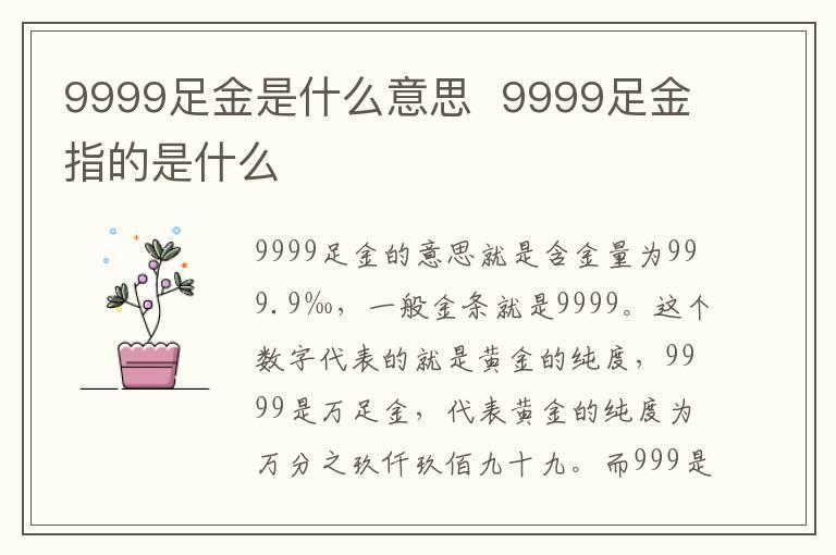 9999足金是什么意思 9999足金指的是什么