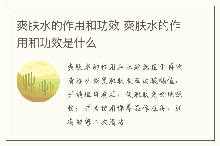 爽肤水的作用和功效 爽肤水的作用和功效是什么