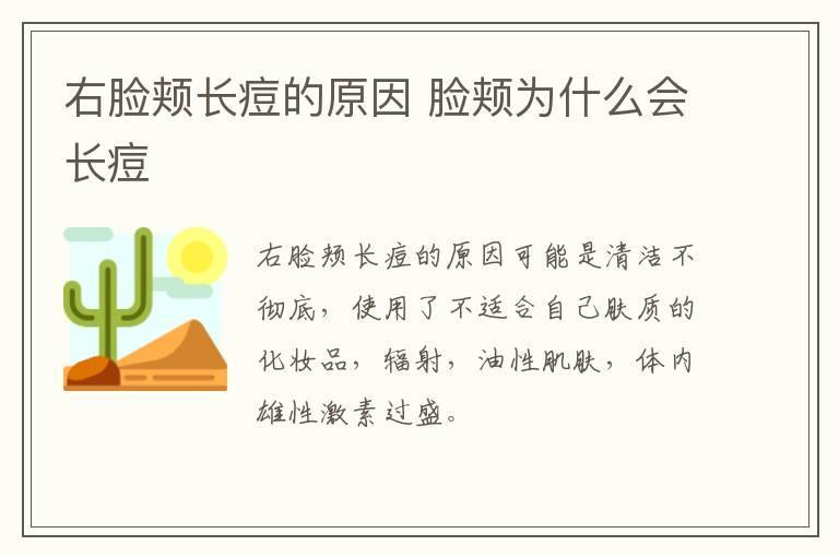 右脸颊长痘的原因 脸颊为什么会长痘