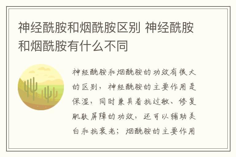神经酰胺和烟酰胺区别 神经酰胺和烟酰胺有什么不同