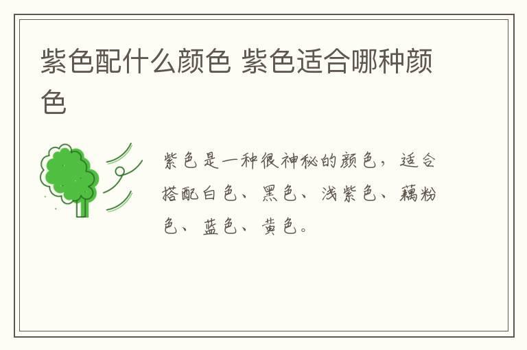 紫色配什么颜色 紫色适合哪种颜色