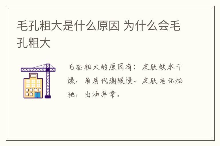 毛孔粗大是什么原因 为什么会毛孔粗大