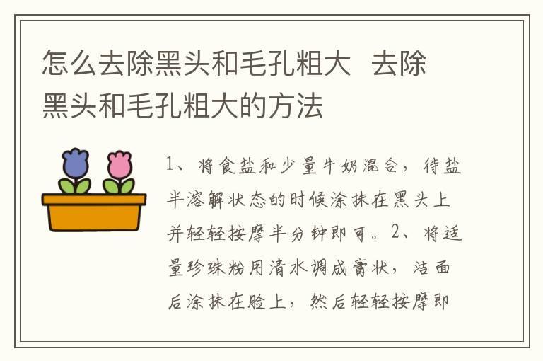 怎么去除黑头和毛孔粗大 去除黑头和毛孔粗大的方法