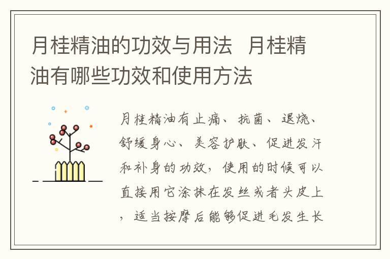 月桂精油的功效与用法 月桂精油有哪些功效和使用方法