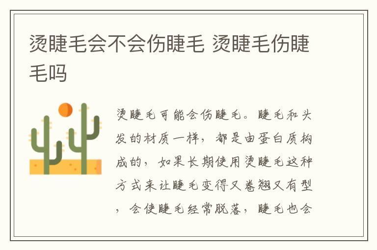 烫睫毛会不会伤睫毛 烫睫毛伤睫毛吗