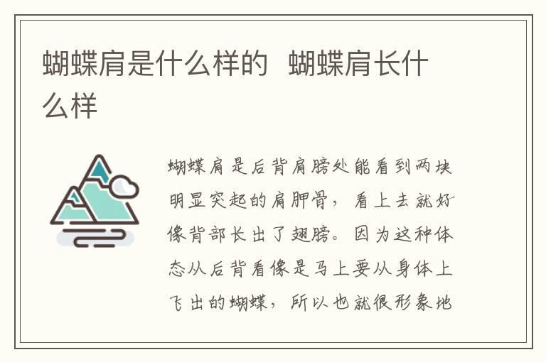 蝴蝶肩是什么样的 蝴蝶肩长什么样
