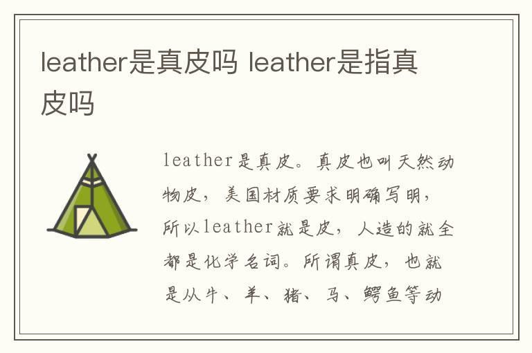 leather是真皮吗 leather是指真皮吗