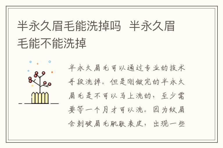 半永久眉毛能洗掉吗 半永久眉毛能不能洗掉