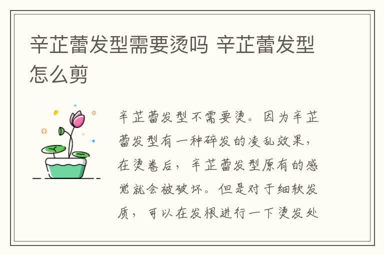 辛芷蕾发型需要烫吗 辛芷蕾发型怎么剪