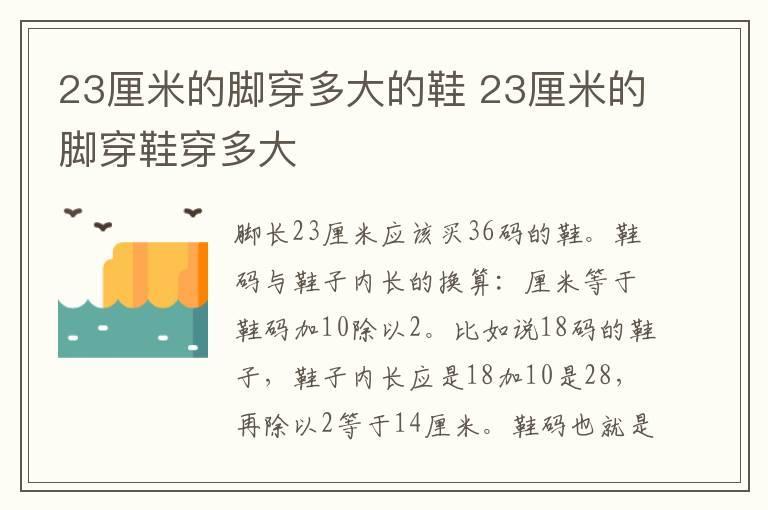 23厘米的脚穿多大的鞋 23厘米的脚穿鞋穿多大