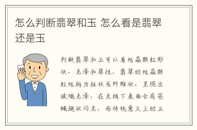 怎么判断翡翠和玉 怎么看是翡翠还是玉