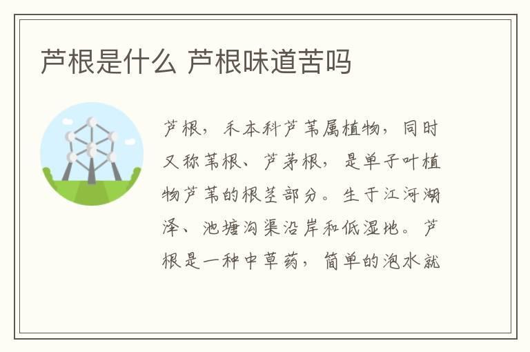 芦根是什么 芦根味道苦吗