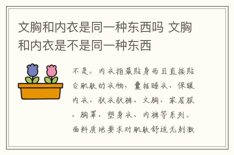 文胸和内衣是同一种东西吗 文胸和内衣是不是同一种东西