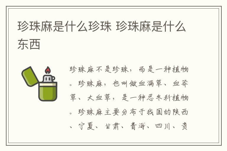 珍珠麻是什么珍珠 珍珠麻是什么东西