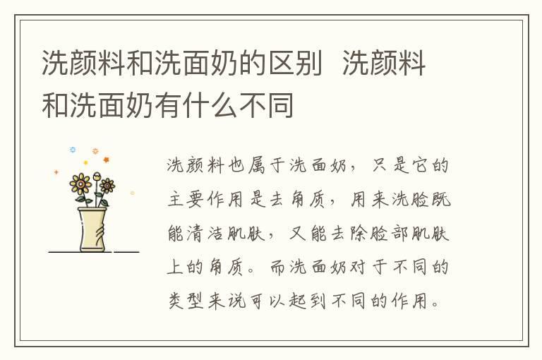 洗颜料和洗面奶的区别  洗颜料和洗面奶有什么不同