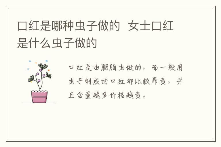 口红是哪种虫子做的  女士口红是什么虫子做的